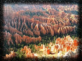 Forest Pinnacles