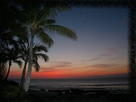 Tropical Swirl